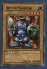 Beaver Warrior