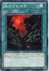 Murmur of the Forest