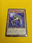 Fortune Lady Light