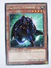 Panther Warrior