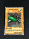 Catapult Turtle