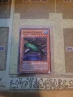 Catapult Turtle