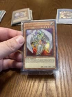 Celestia, Lightsworn Angel