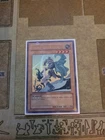 Skilled White Magician