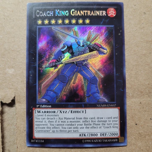Coach King Giantrainer