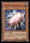 Cocoon of Evolution