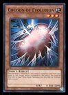 Cocoon of Evolution