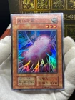 Cocoon of Evolution