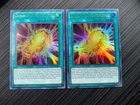 Polymerization