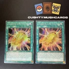 Cyber Shield