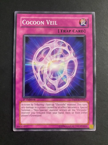 Cocoon Veil
