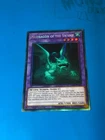 Muddy Mudragon