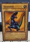 Trakodon