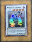 Colossal Fighter