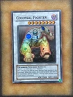 Colossal Fighter