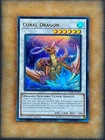 Coral Dragon