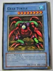 Crab Turtle