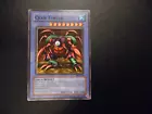 Crab Turtle