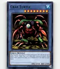 Crab Turtle