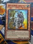 Flame Tiger