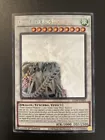 Clear Wing Synchro Dragon