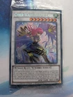 Cyber Slash Harpie Lady