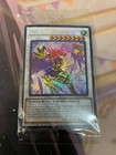 Toon Harpie Lady