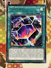 Cynet Ritual