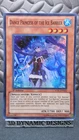 Dance Princess of the Ice Barrier