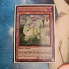 Danger!? Jackalope?
