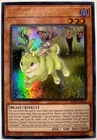 Danger!? Jackalope?