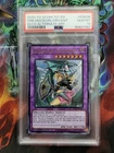 Dark Magician Girl the Dragon Knight