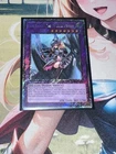 Dark Magician Girl the Dragon Knight