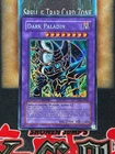 Dark Paladin