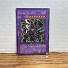 Dark Paladin