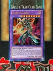 Dark Paladin