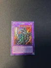 Dark Paladin