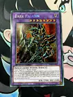 Dark Paladin