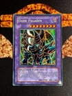 Dark Paladin