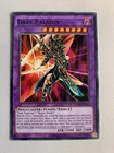 Dark Paladin