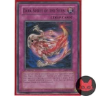 Tenyi Spirit - Suruya