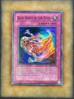 Number 101: Silent Honor ARK
