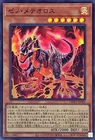 Xeno Meteorus