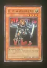 D.D. Warrior Lady