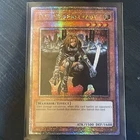 D.D. Warrior Lady
