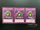 Deck Devastation Virus