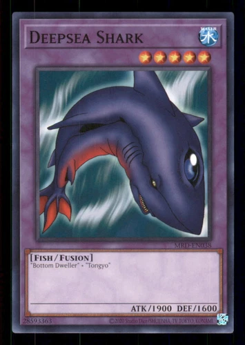 Deepsea Shark