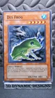 Des Frog