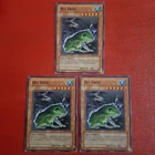 Des Frog