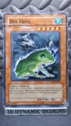 Des Frog